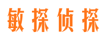 甘洛侦探公司